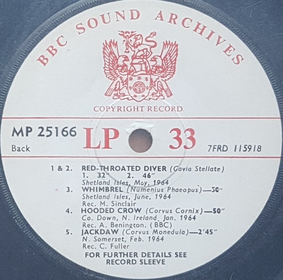 MP 25166 Red-throated diver Not registered from the BBC records and Tapes library Label